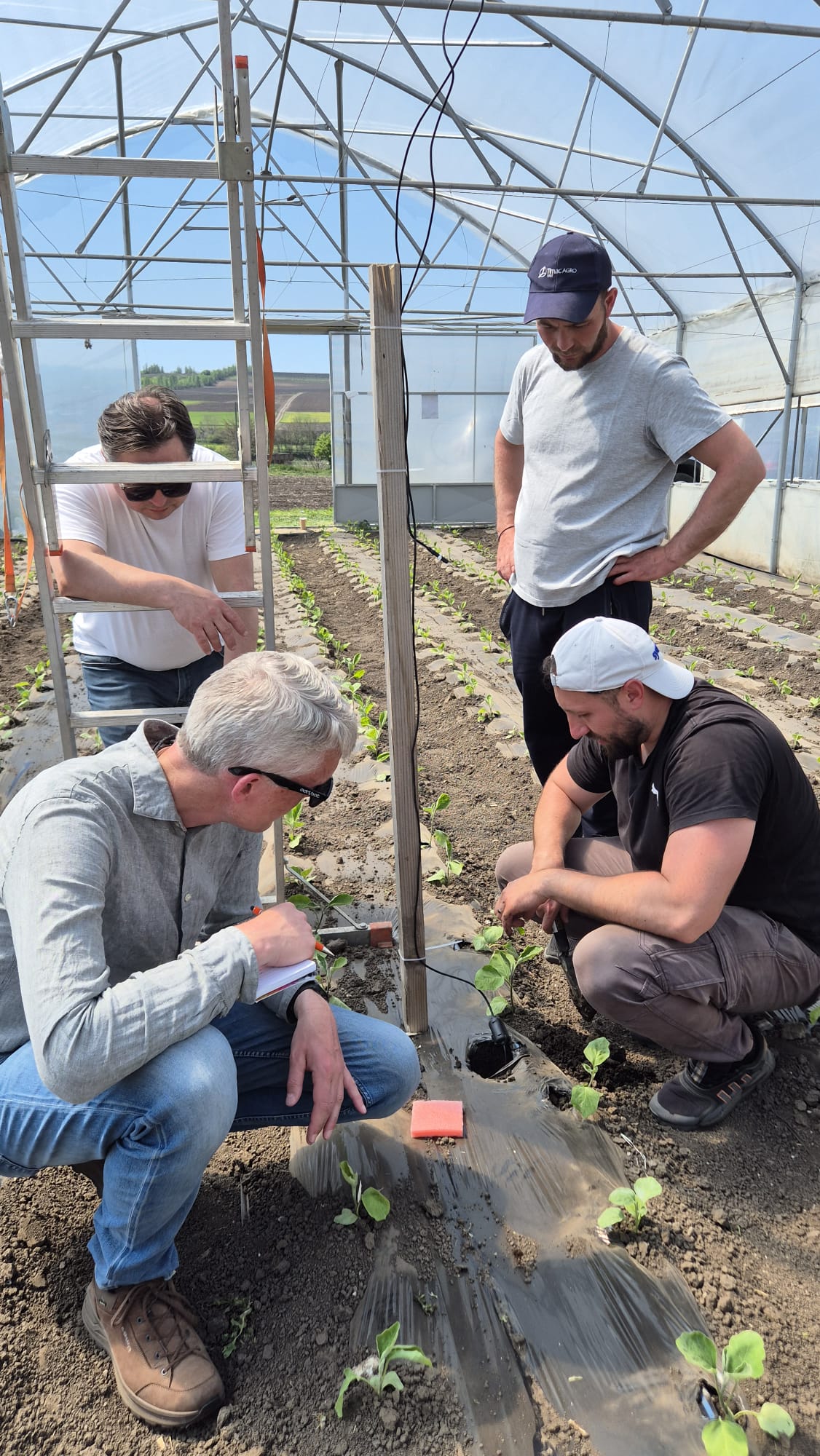 Agronomists installing a remote sensing device in a Moldovan greenhouse