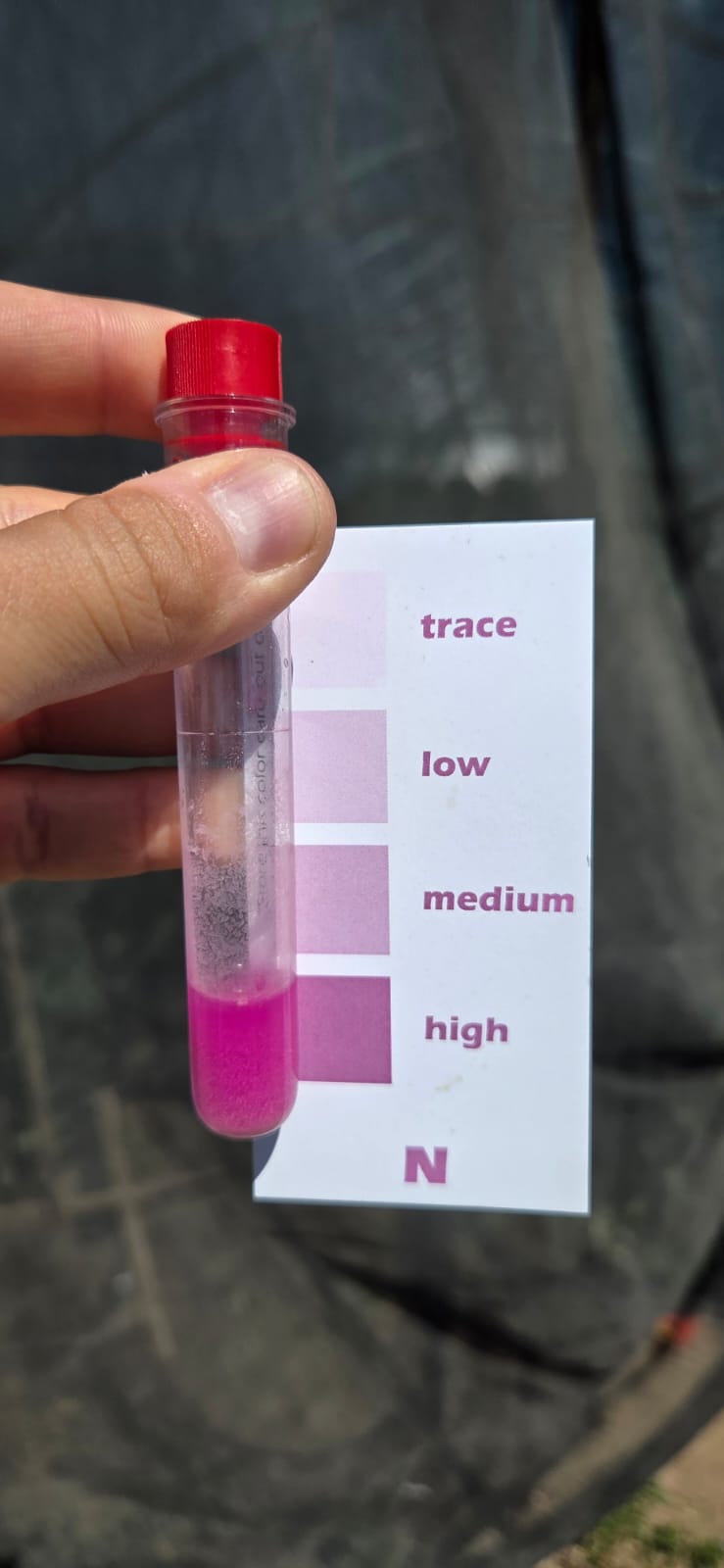 Hand holding a nitrogen (N) soil test tube with bright pink liquid next to a colour card reading trace, low, medium, high