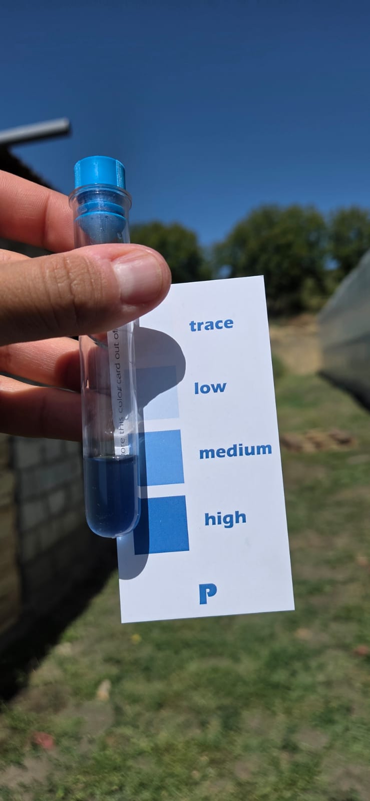 Hand holding a phosphorus (P) soil test tube with blue liquid beside a blue colour card indicating the nutrient level